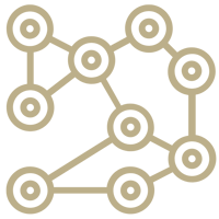 Network